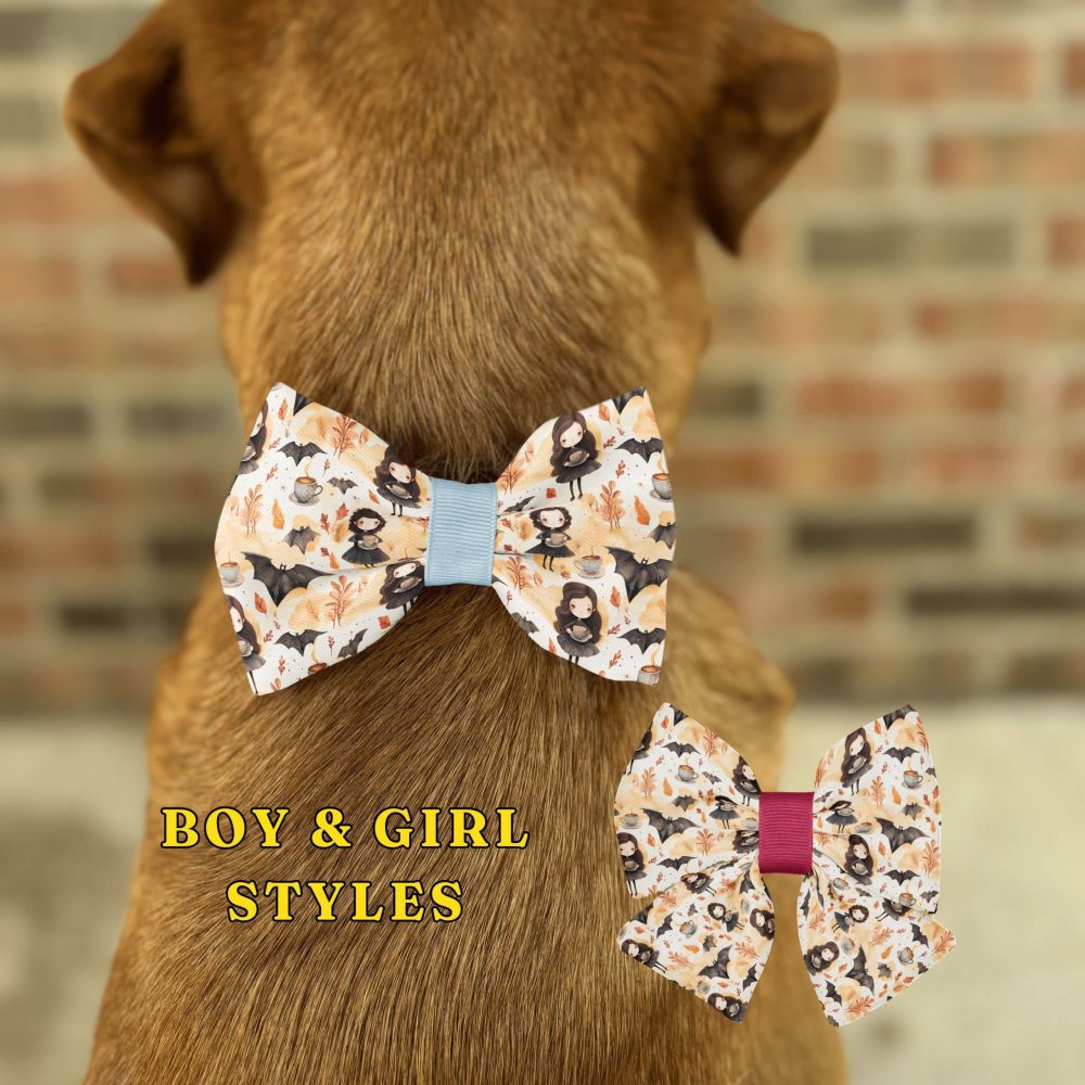 Dog with patterned bow tie, boy and girl styles.