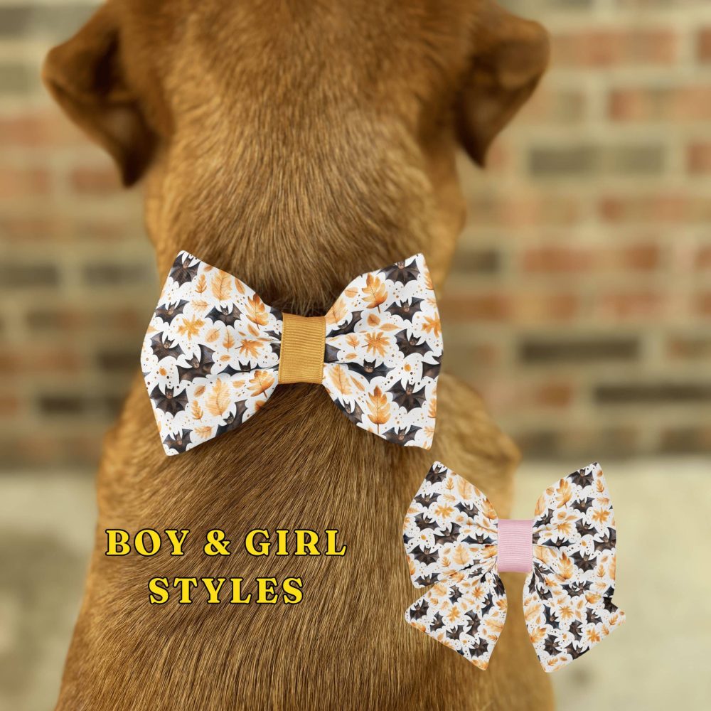 Dog wearing floral bow tie, boy and girl styles.