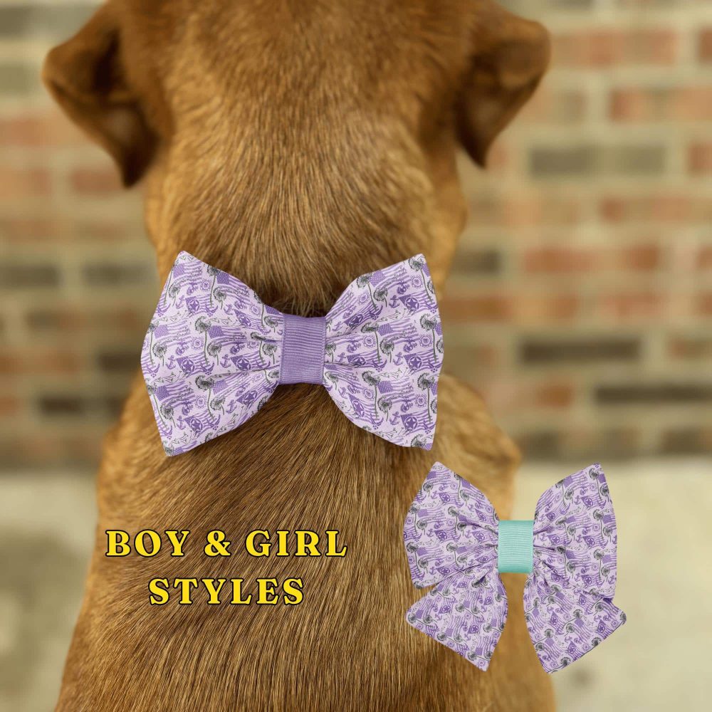 Dog wearing purple bow tie, boy and girl styles