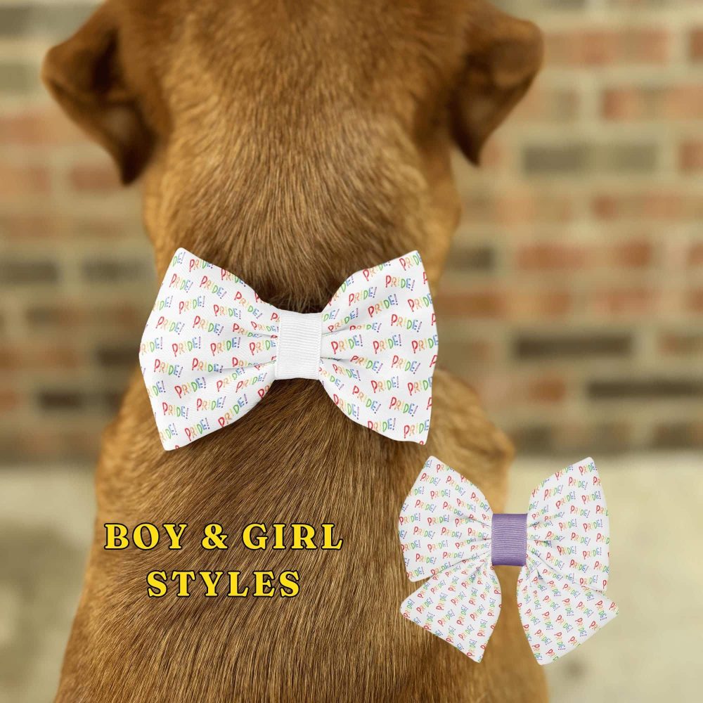 Dog with Pride-themed bow tie