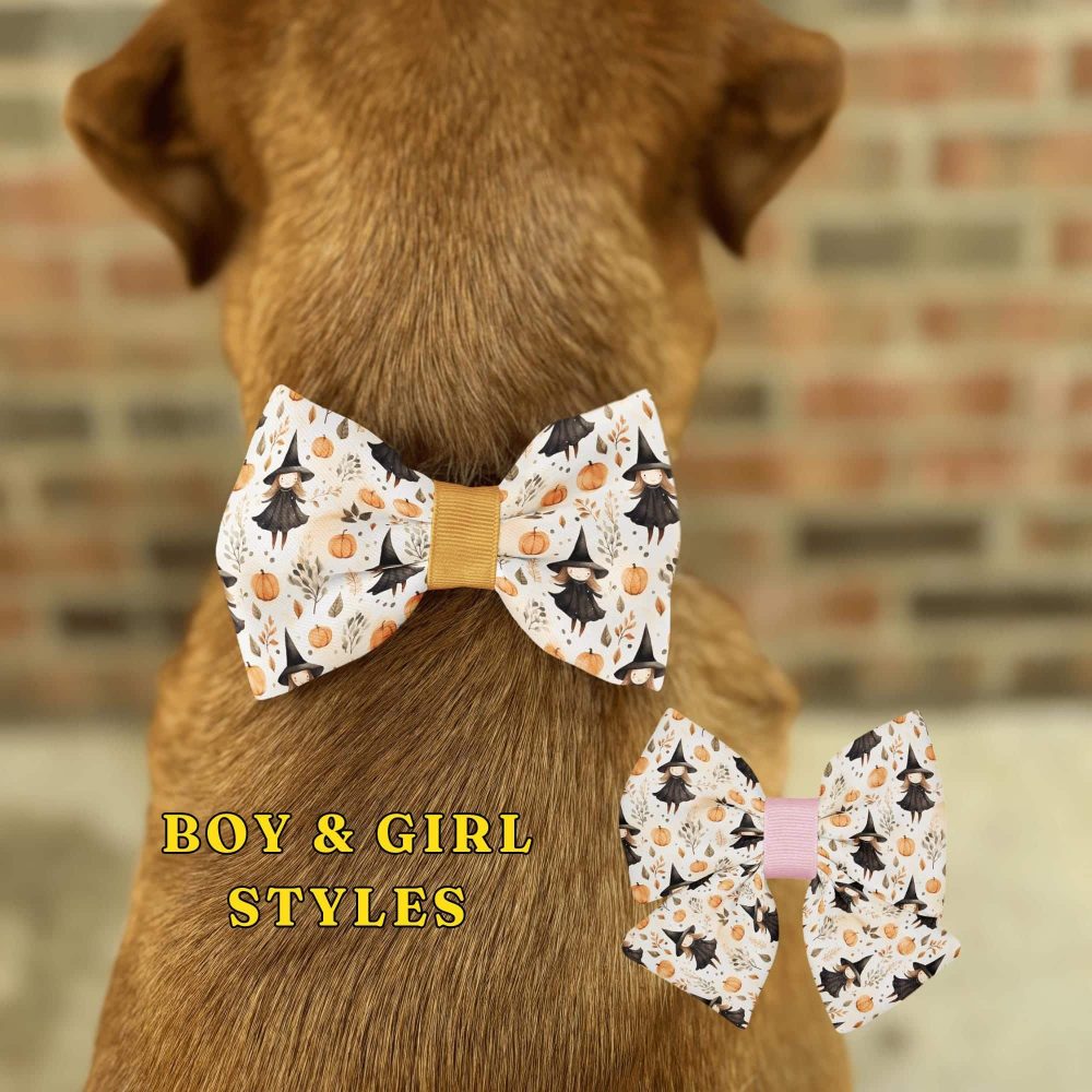 Dog wearing Halloween-themed bow tie accessories.