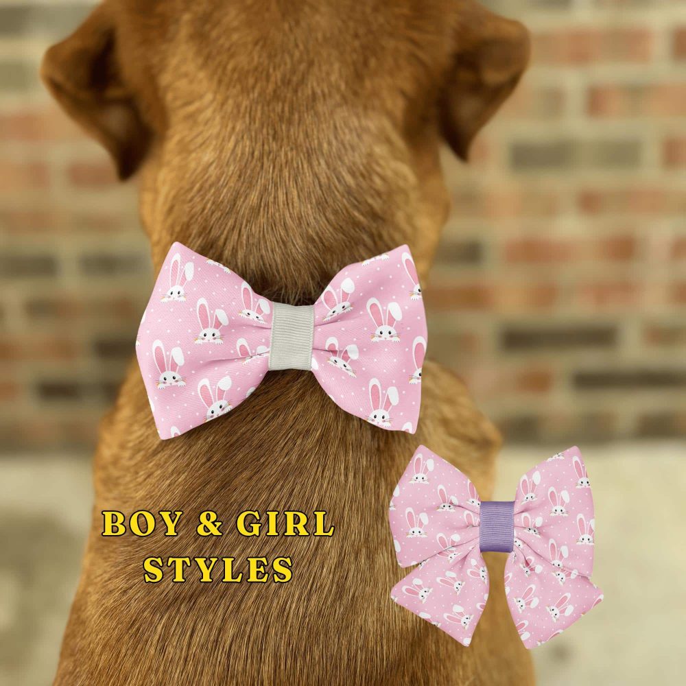 Dog wearing pink bunny bow tie.