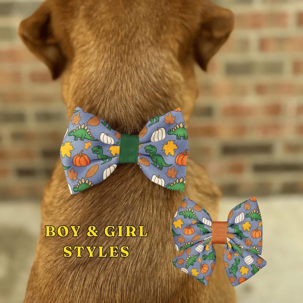 Dog wearing dinosaur-themed bow tie