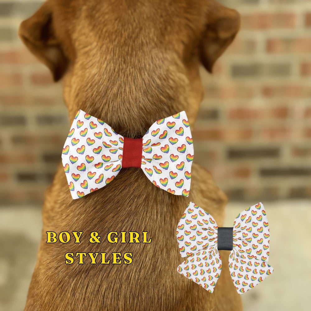 Dog wearing heart bow tie, boy and girl styles