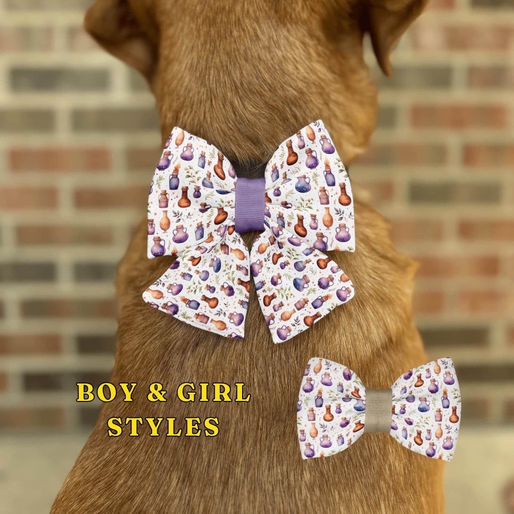 Dog wearing a colorful bow tie.