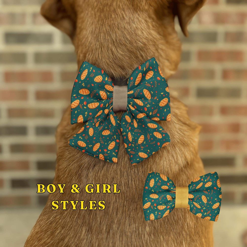 Dog wearing patterned bow tie for boys and girls.