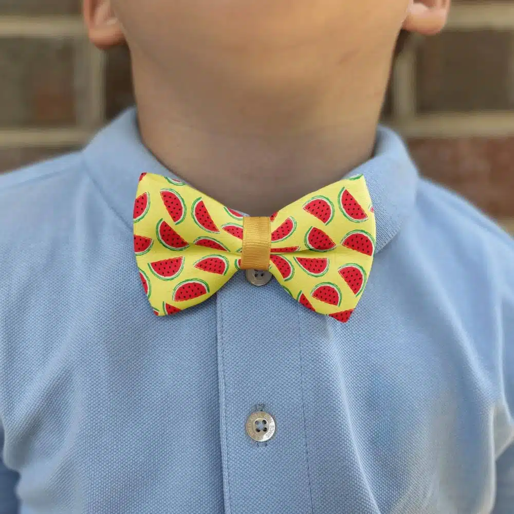 Child wearing watermelon patterned bow tie, blue shirt.