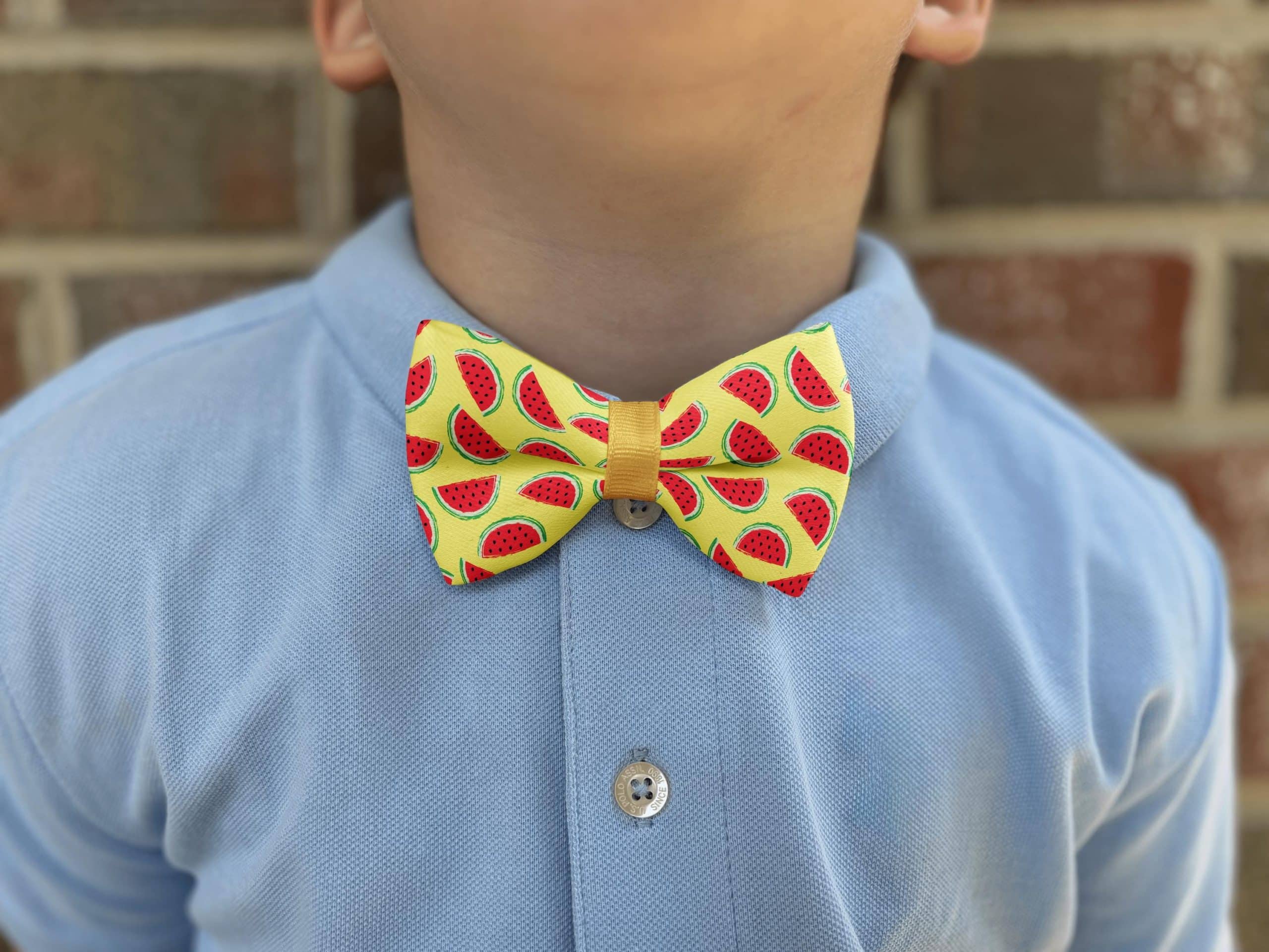 Child wearing watermelon patterned bow tie, blue shirt.