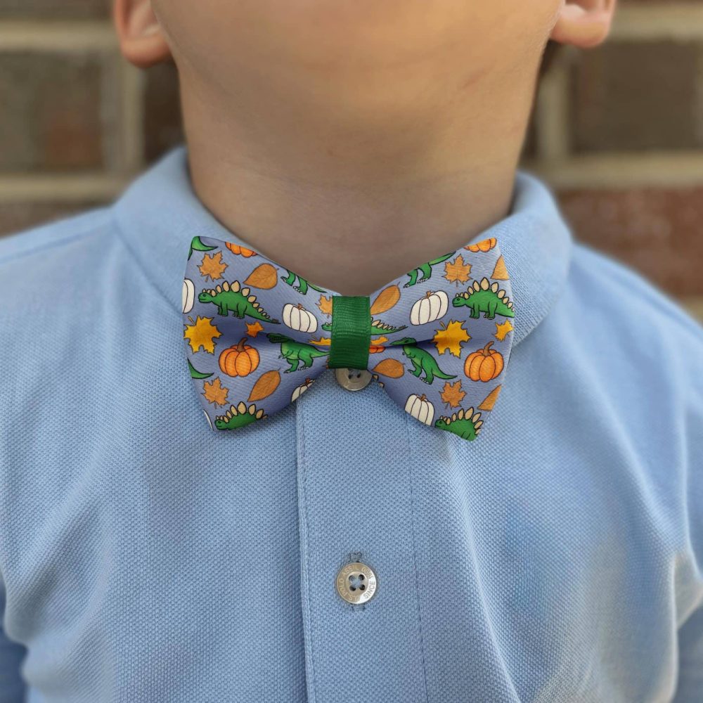 Child in dinosaur bow tie, blue shirt