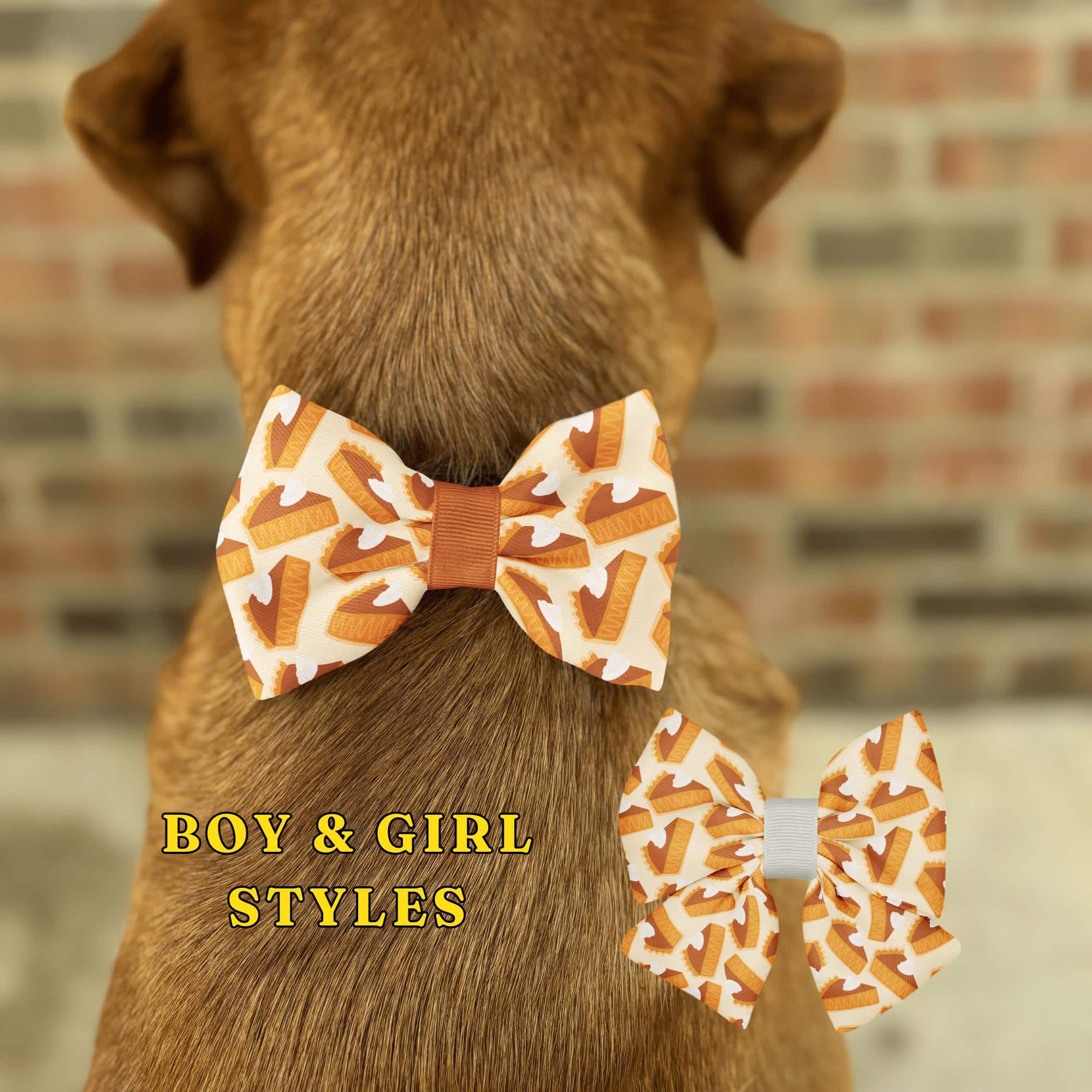 Dog with pie-patterned bow tie.