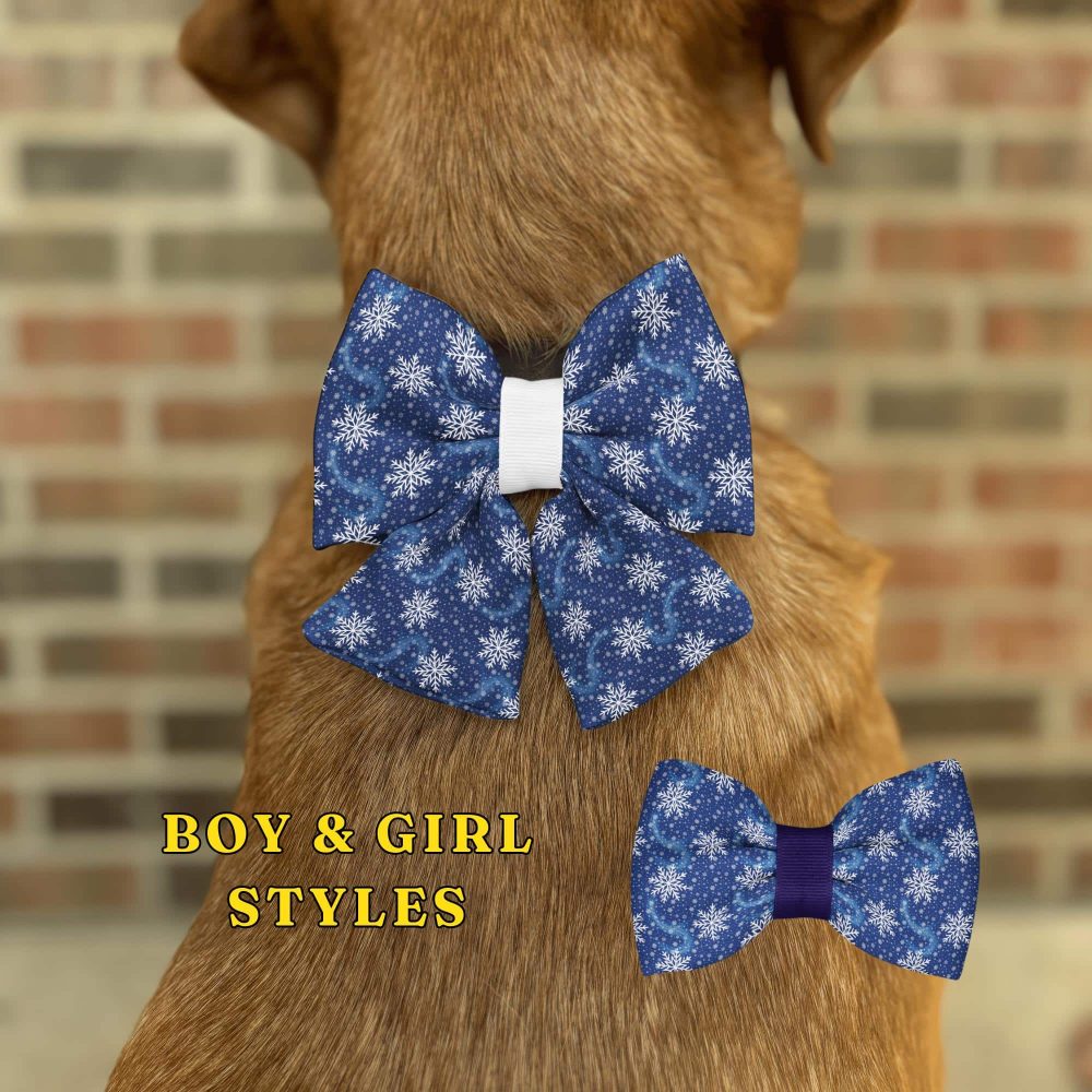 Dog wearing snowflake-patterned blue bowtie