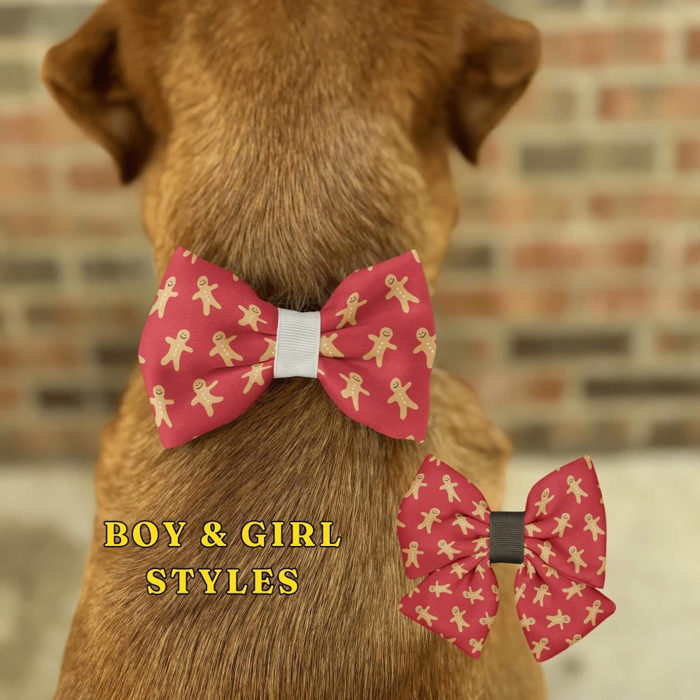 Dog wearing gingerbread bow tie, boy and girl styles.