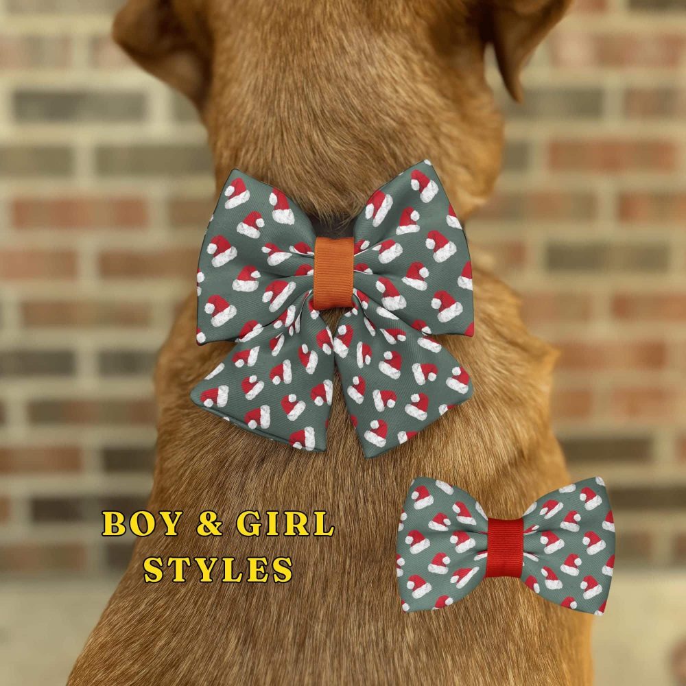 Dog wearing holiday bowtie, boy and girl styles