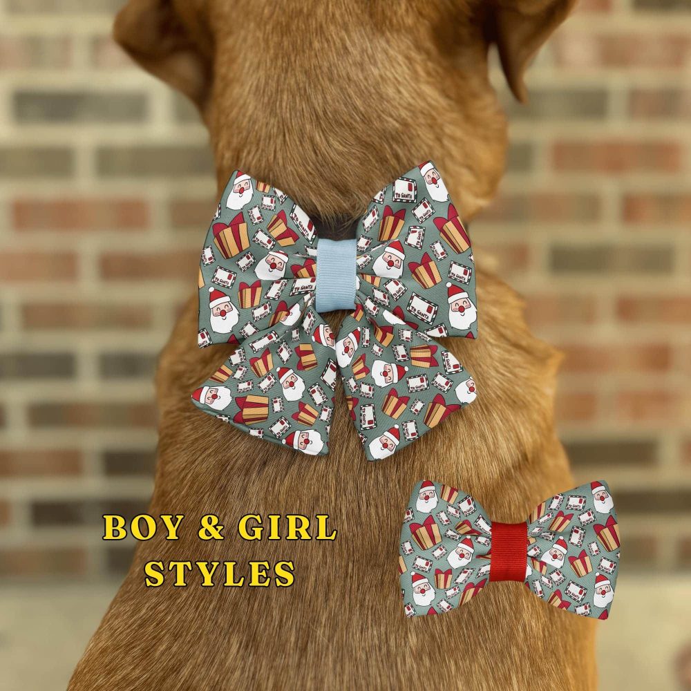 Dog wearing festive holiday bow ties.