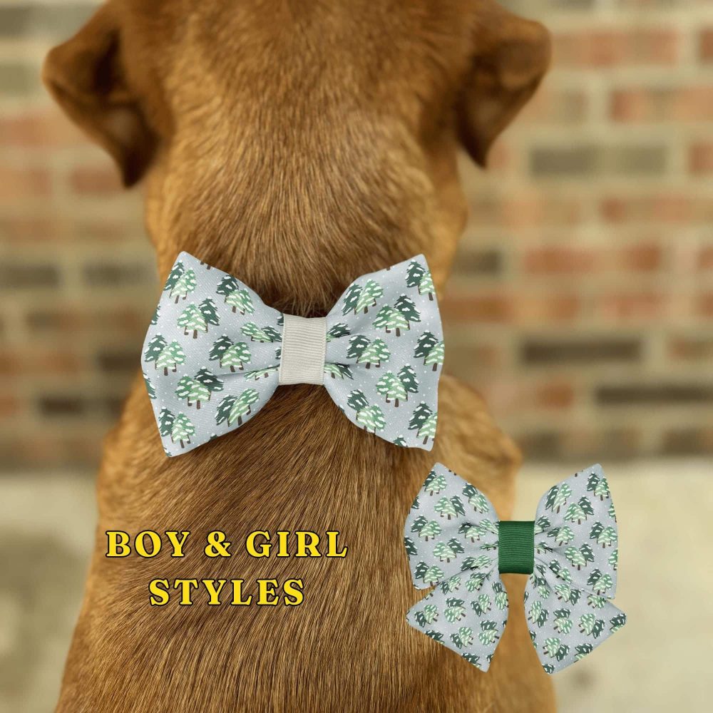 Dog wearing bow tie with tree pattern.