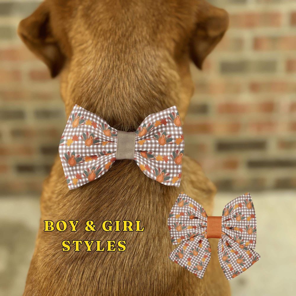 Dog wearing turkey-themed bow tie accessories.