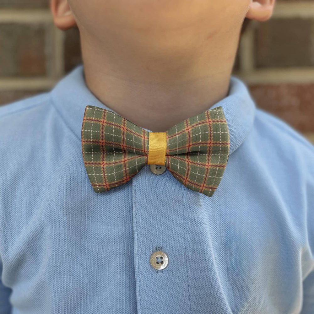 Child wearing plaid bow tie and blue shirt.