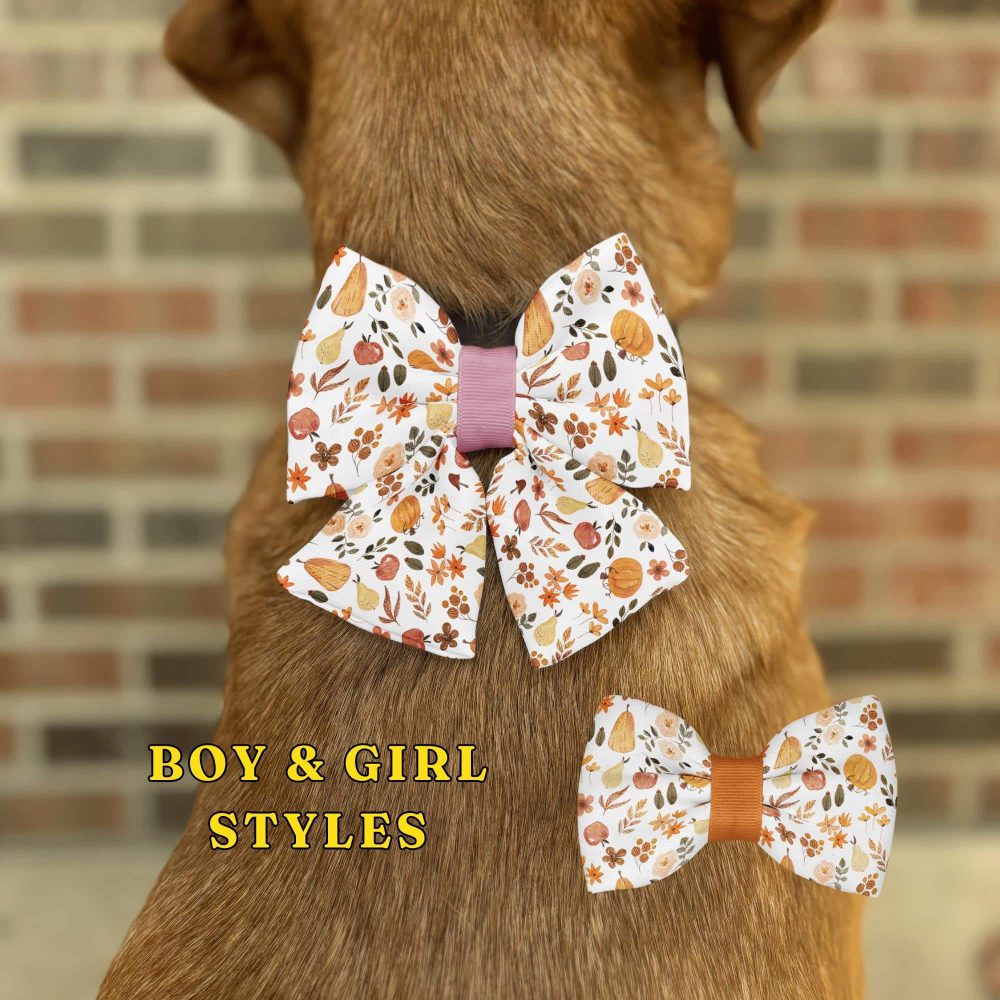 Dog wearing floral bow and text 'Boy & Girl Styles'