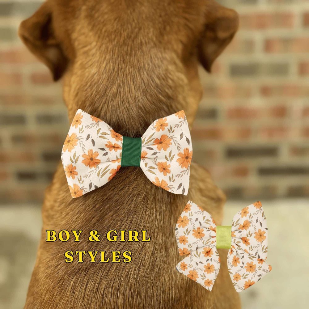 Dog wearing floral bow tie styles