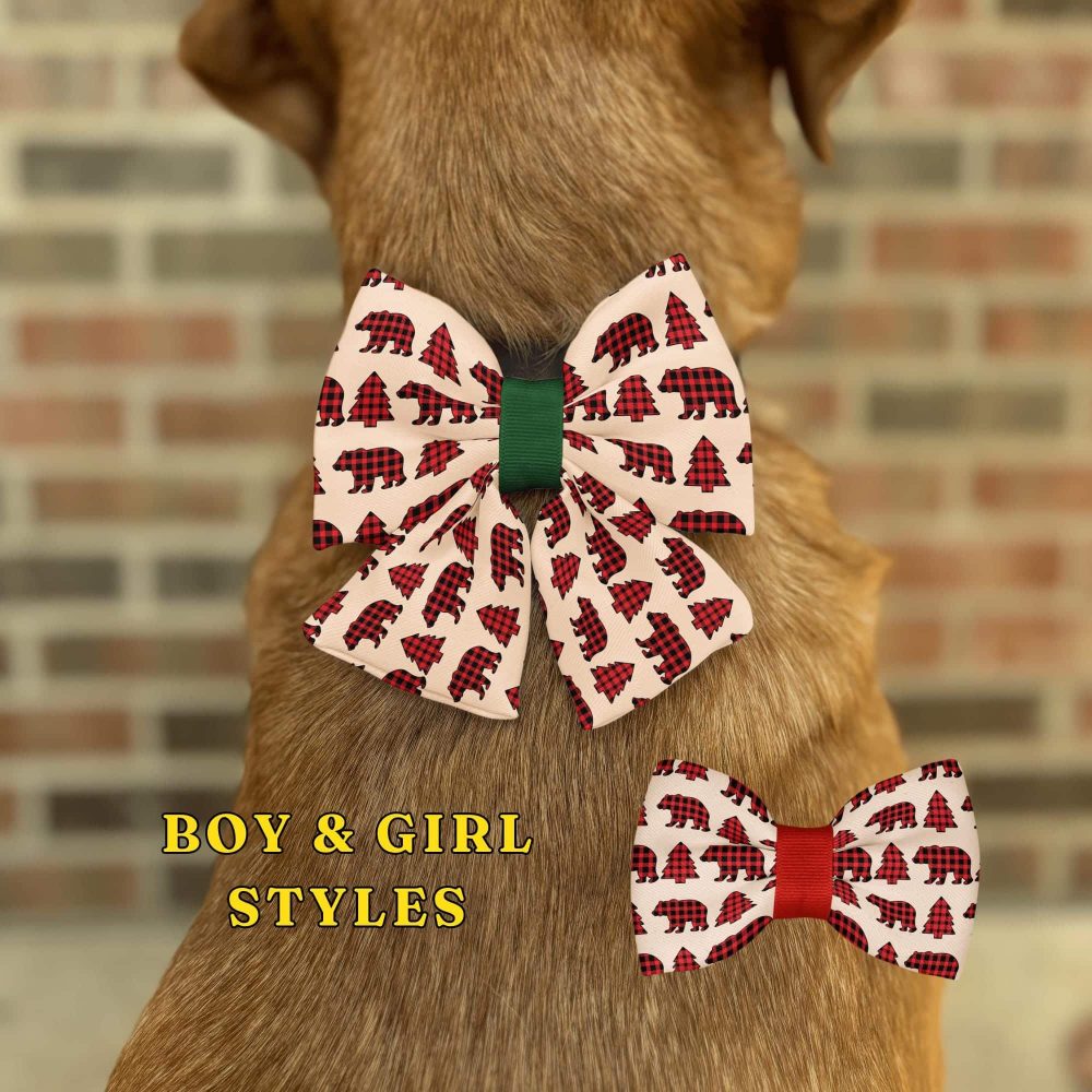 Dog wearing plaid bear print bows.