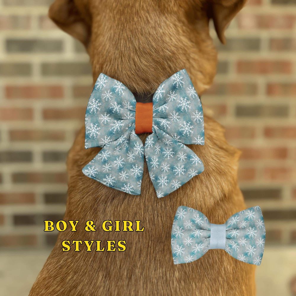 Dog wearing snowflake bowtie with boy and girl styles.