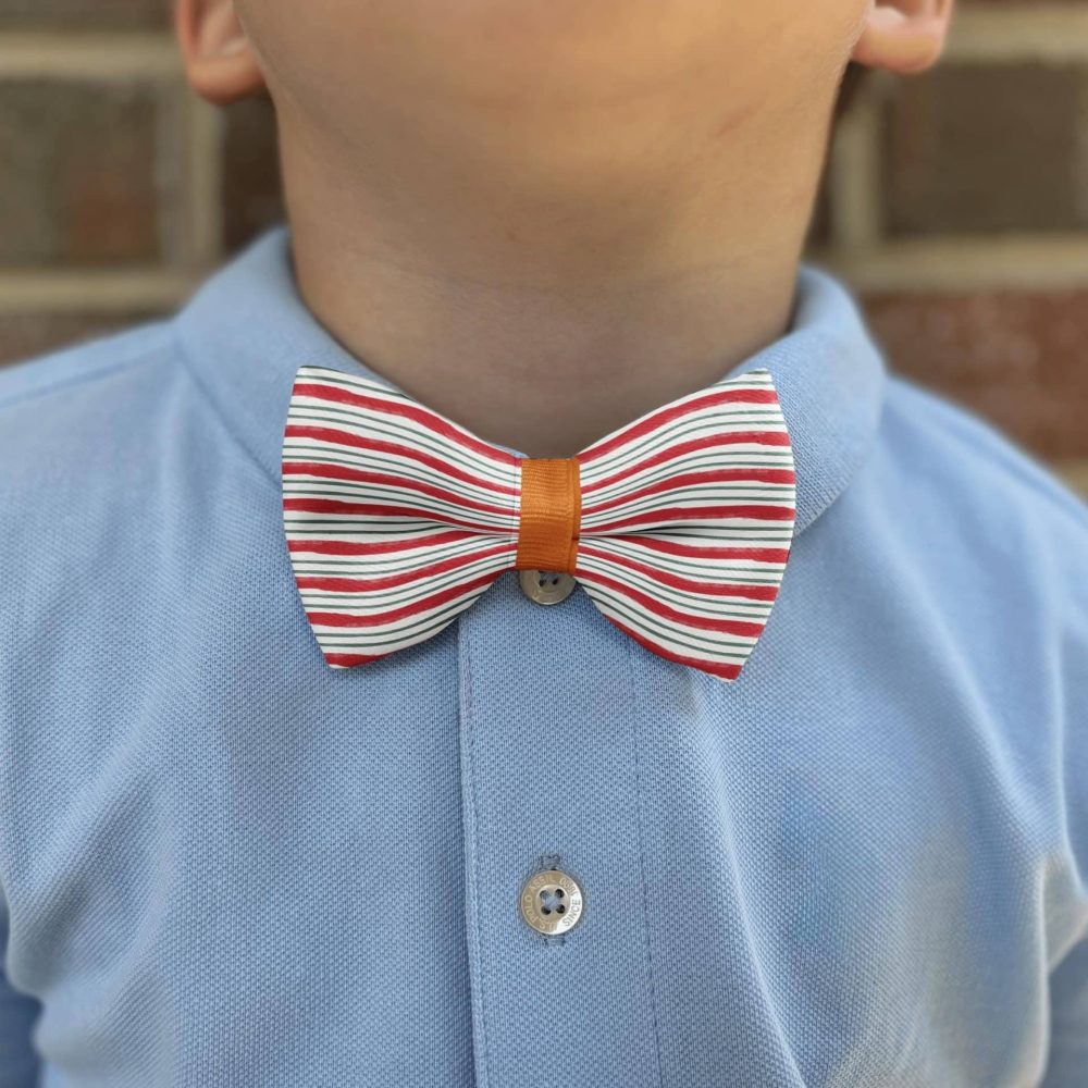 Child in blue shirt with striped bow tie.