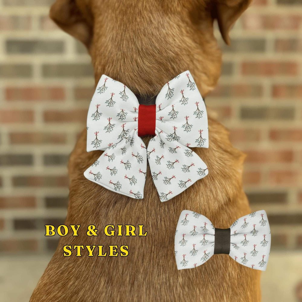 Dog wearing patterned bow ties, boy and girl styles.